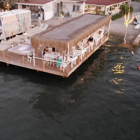 Madda 3* ゴルトゥルブク