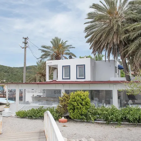 Madda 골터크부쿠