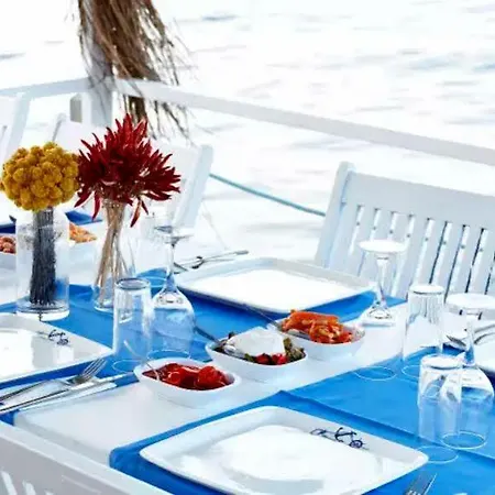 Madda 골터크부쿠