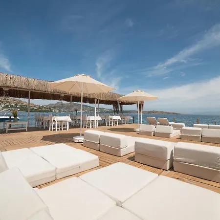 Hotel Madda 3*